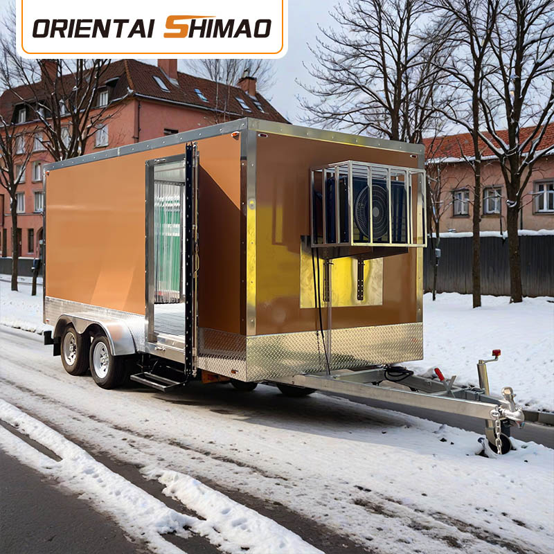 Insulae Freezer Video enim Extremae Temperaturae